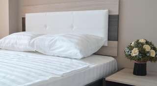 Гостиница Amira Набережные Челны Двухместный номер Делюкс с 1 кроватью или 2 отдельными кроватями-1